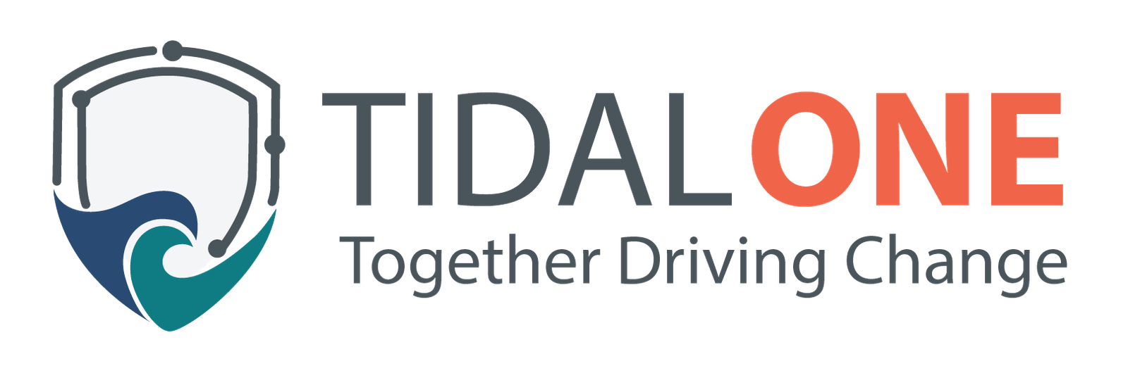 Tidal One federal IT and AI solutions company logo